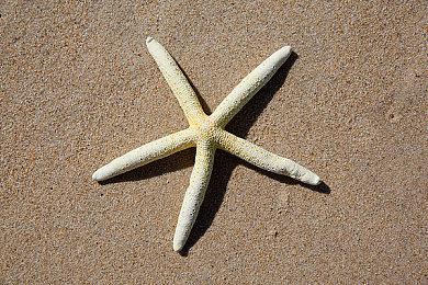 《纸嫁衣3鸳鸯债》上架Steam 发售日期待定